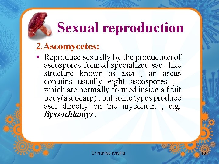 Sexual reproduction 2. Ascomycetes: § Reproduce sexually by the production of ascospores formed specialized