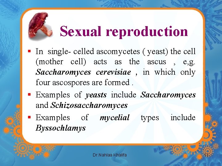 Sexual reproduction § In single- celled ascomycetes ( yeast) the cell (mother cell) acts