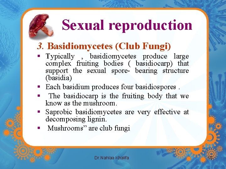 Sexual reproduction 3. Basidiomycetes (Club Fungi) § Typically , basidiomycetes produce large complex fruiting