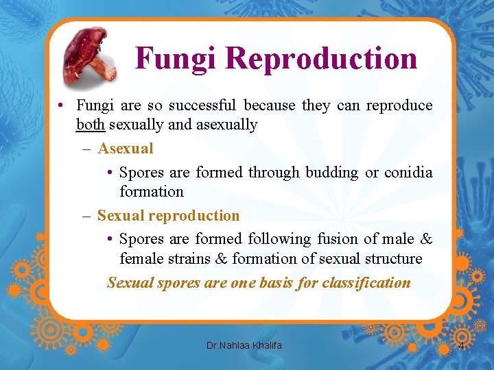 Fungi Reproduction • Fungi are so successful because they can reproduce both sexually and