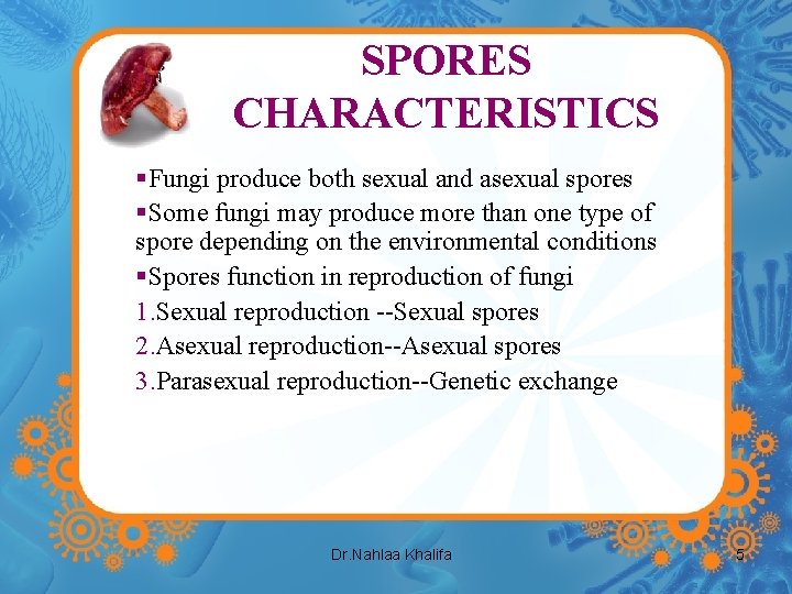 SPORES CHARACTERISTICS §Fungi produce both sexual and asexual spores §Some fungi may produce more