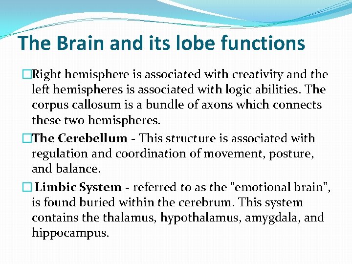 The Brain and its lobe functions �Right hemisphere is associated with creativity and the