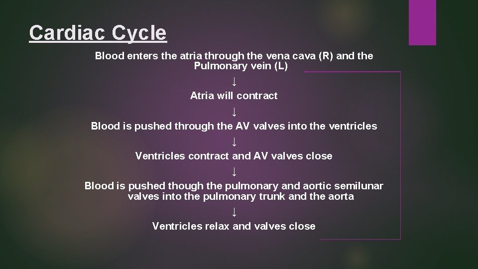 Cardiac Cycle Blood enters the atria through the vena cava (R) and the Pulmonary