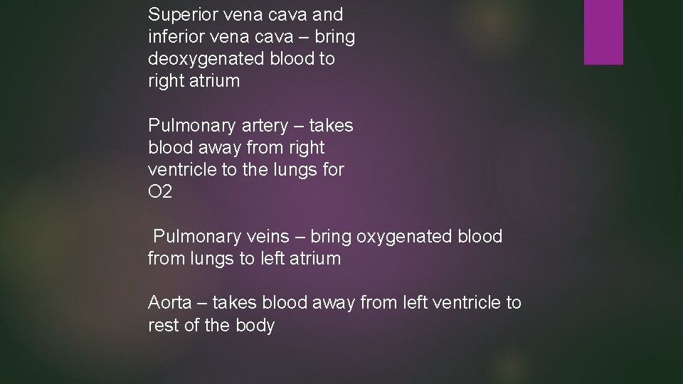Superior vena cava and inferior vena cava – bring deoxygenated blood to right atrium