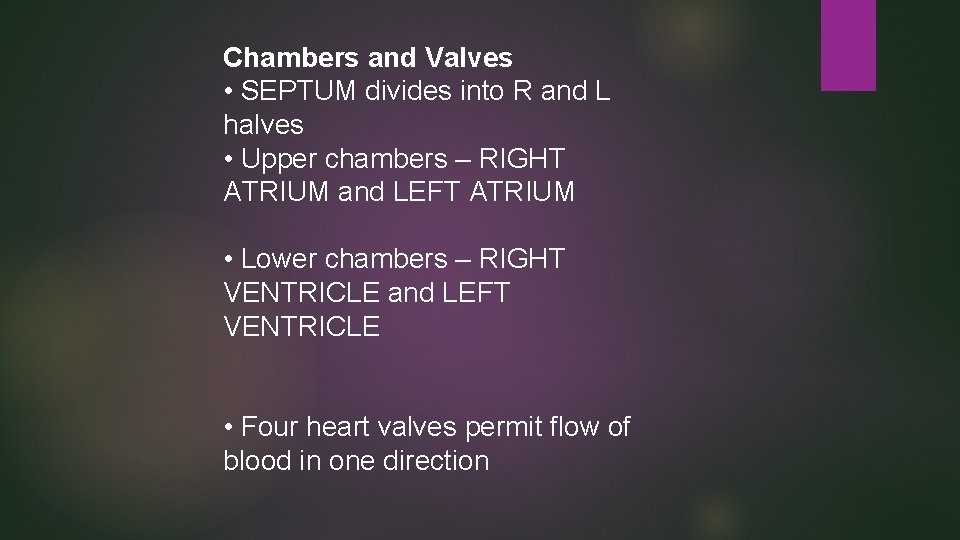 Chambers and Valves • SEPTUM divides into R and L halves • Upper chambers