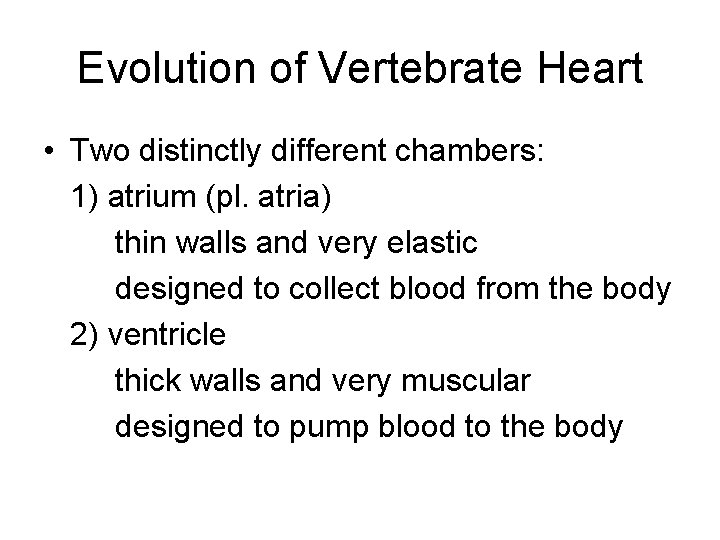 Evolution of Vertebrate Heart • Two distinctly different chambers: 1) atrium (pl. atria) thin