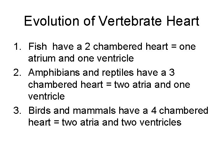 Evolution of Vertebrate Heart 1. Fish have a 2 chambered heart = one atrium
