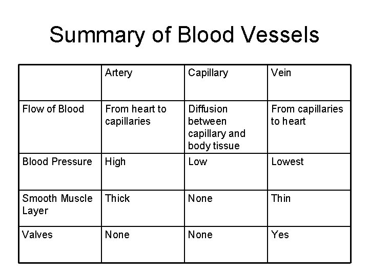 Summary of Blood Vessels Artery Capillary Vein Flow of Blood From heart to capillaries