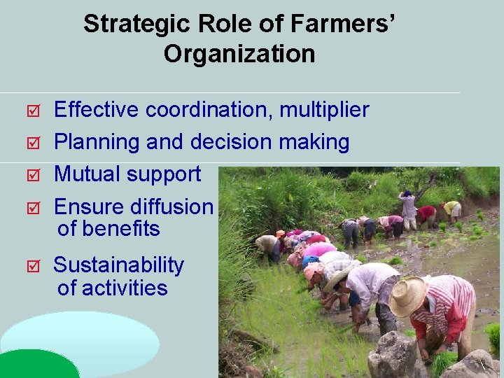 Strategic Role of Farmers’ Organization Effective coordination, multiplier Planning and decision making Mutual support Strategic Role of Farmers’ Organization Effective coordination, multiplier Planning and decision making Mutual support