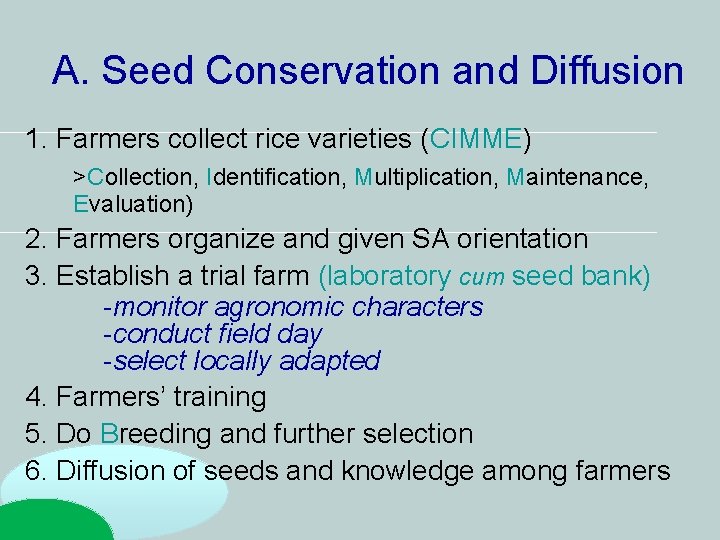 A. Seed Conservation and Diffusion 1. Farmers collect rice varieties (CIMME) >Collection, Identification, Multiplication, A. Seed Conservation and Diffusion 1. Farmers collect rice varieties (CIMME) >Collection, Identification, Multiplication,