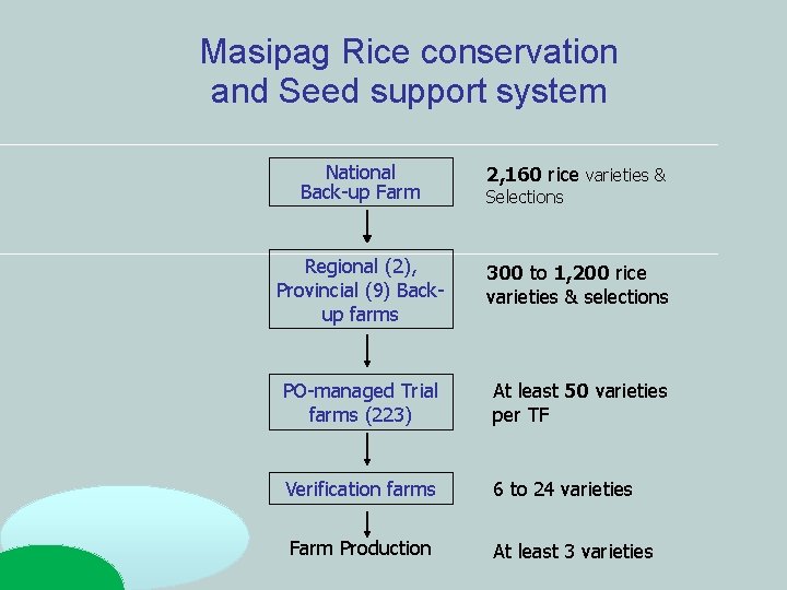 Masipag Rice conservation and Seed support system National Back-up Farm 2, 160 rice varieties Masipag Rice conservation and Seed support system National Back-up Farm 2, 160 rice varieties
