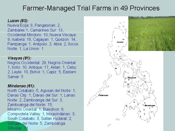 Farmer-Managed Trial Farms in 49 Provinces Luzon (83): Nueva Ecija: 8, Pangasinan: 2, Zambales: Farmer-Managed Trial Farms in 49 Provinces Luzon (83): Nueva Ecija: 8, Pangasinan: 2, Zambales: