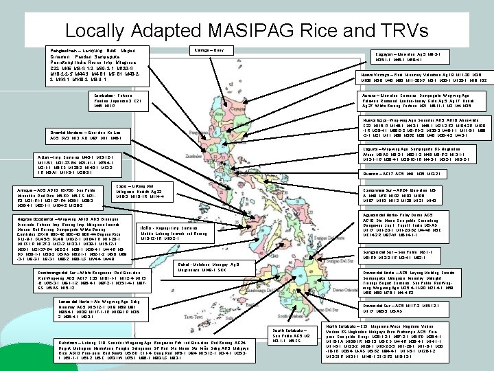 Locally Adapted MASIPAG Rice and TRVs Kalinga – Onay Pangasinan – Lamyung, Bulik, Mogen, Locally Adapted MASIPAG Rice and TRVs Kalinga – Onay Pangasinan – Lamyung, Bulik, Mogen,