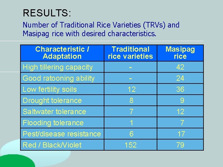 RESULTS: Number of Traditional Rice Varieties (TRVs) and Masipag rice with desired characteristics. Characteristic RESULTS: Number of Traditional Rice Varieties (TRVs) and Masipag rice with desired characteristics. Characteristic