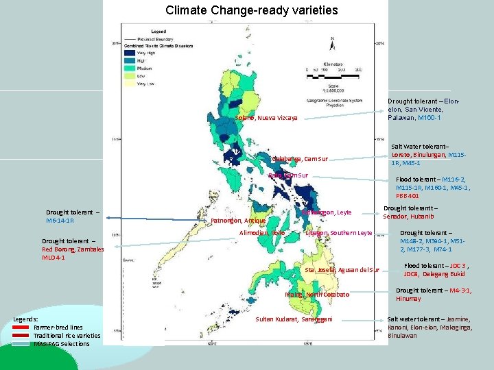 Climate Change-ready varieties Drought tolerant – Elonelon, San Vicente, Palawan, M 160 -1 Solano, Climate Change-ready varieties Drought tolerant – Elonelon, San Vicente, Palawan, M 160 -1 Solano,