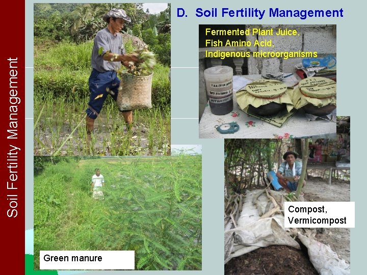 D. Soil Fertility Management Fermented Plant Juice, Fish Amino Acid, Indigenous microorganisms Compost, Vermicompost D. Soil Fertility Management Fermented Plant Juice, Fish Amino Acid, Indigenous microorganisms Compost, Vermicompost