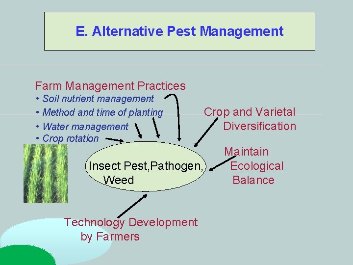 E. Alternative Pest Management Farm Management Practices • Soil nutrient management • Method and E. Alternative Pest Management Farm Management Practices • Soil nutrient management • Method and