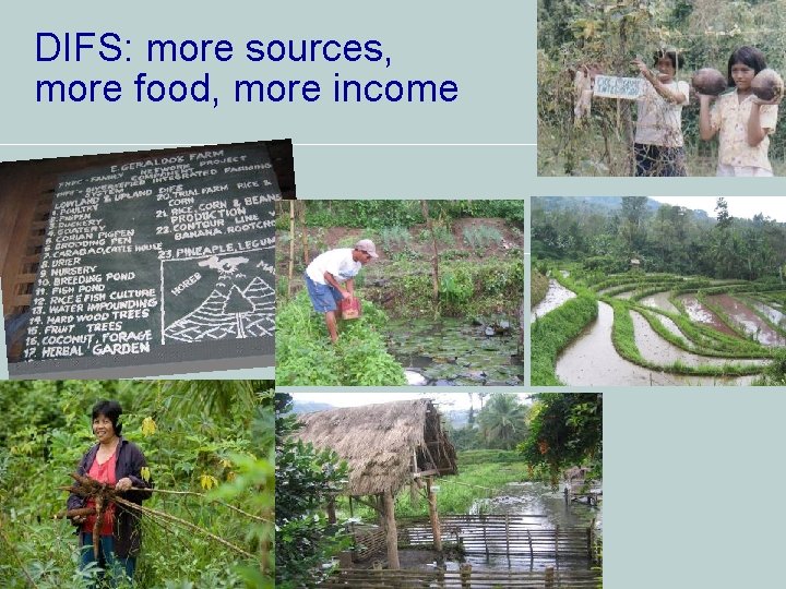 DIFS: more sources, more food, more income DIFS: more sources, more food, more income