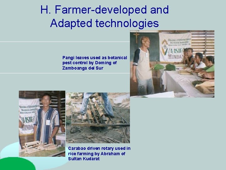 H. Farmer-developed and Adapted technologies Pangi leaves used as botanical pest control by Doming H. Farmer-developed and Adapted technologies Pangi leaves used as botanical pest control by Doming