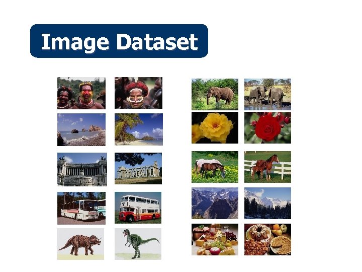 Image Dataset 