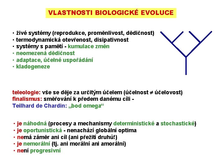 VLASTNOSTI BIOLOGICKÉ EVOLUCE • živé systémy (reprodukce, proměnlivost, dědičnost) • termodynamická otevřenost, disipativnost •