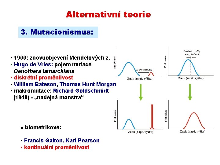 Alternativní teorie 3. Mutacionismus: • 1900: znovuobjevení Mendelových z. • Hugo de Vries: pojem