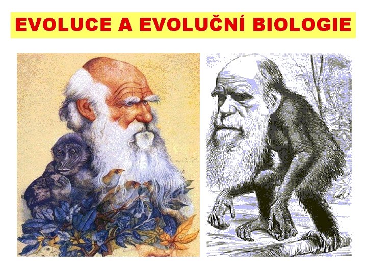 EVOLUCE A EVOLUČNÍ BIOLOGIE 
