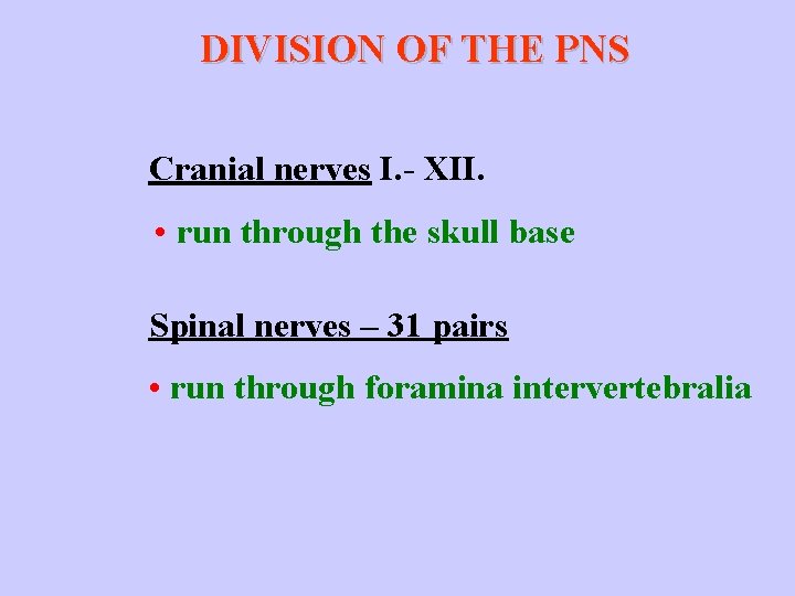 DIVISION OF THE PNS Cranial nerves I. - XII. • run through the skull