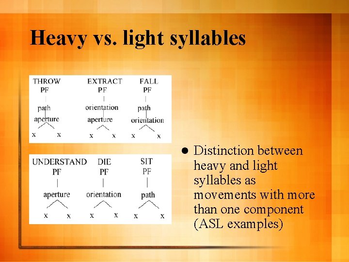 Heavy vs. light syllables l Distinction between heavy and light syllables as movements with