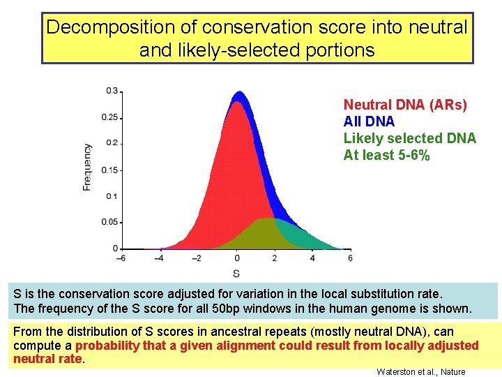 Decomposition of conservation score into neutral and likely-selected portions Neutral DNA (ARs) All DNA