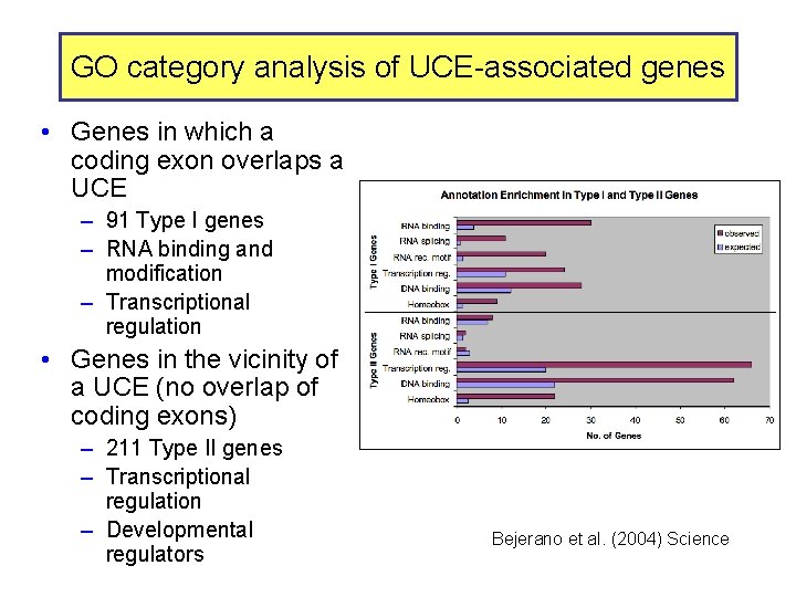 GO category analysis of UCE-associated genes • Genes in which a coding exon overlaps