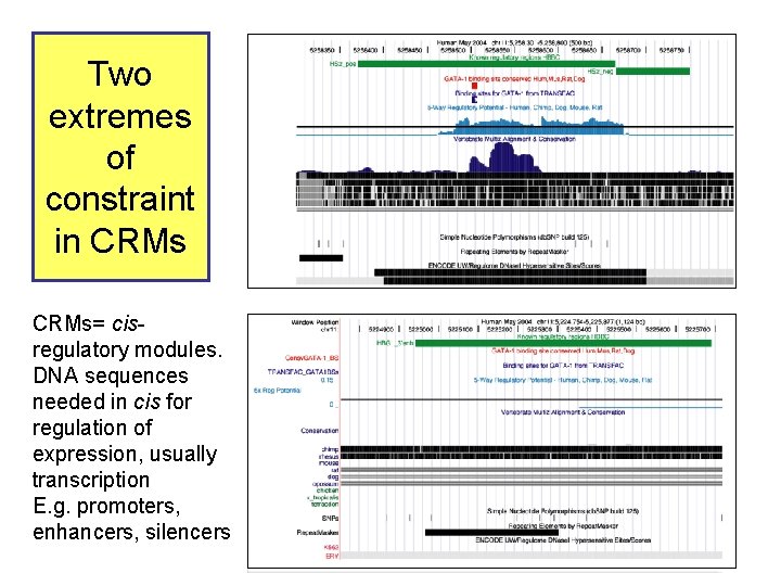 Two extremes of constraint in CRMs= cisregulatory modules. DNA sequences needed in cis for