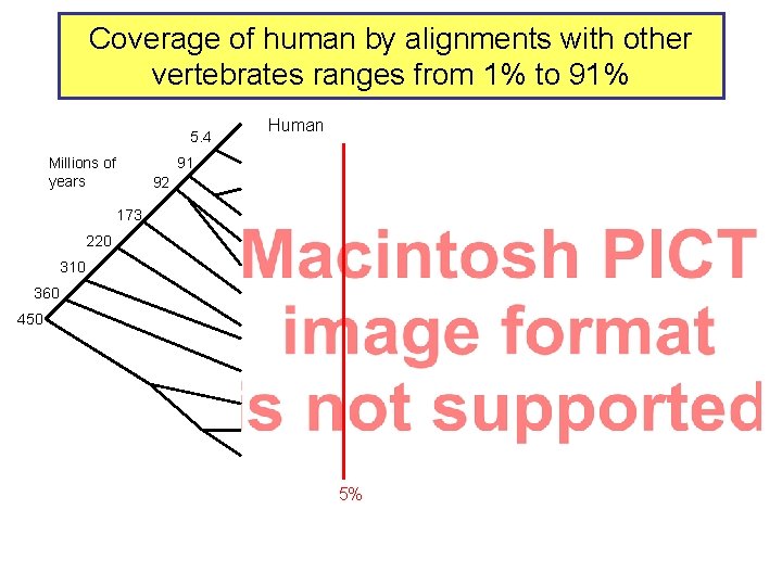 Coverage of human by alignments with other vertebrates ranges from 1% to 91% 5.