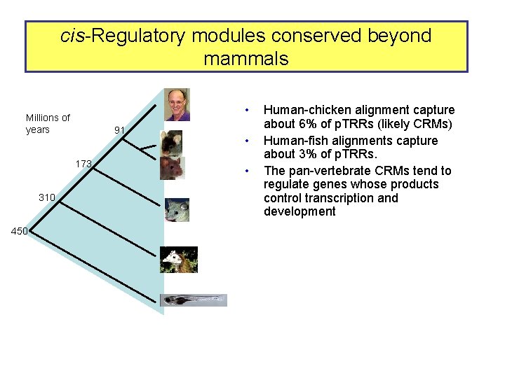 cis-Regulatory modules conserved beyond mammals • Millions of years 91 173 310 450 •