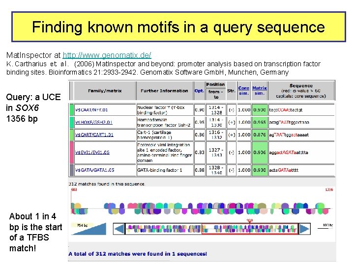 Finding known motifs in a query sequence Mat. Inspector at http: //www. genomatix. de/