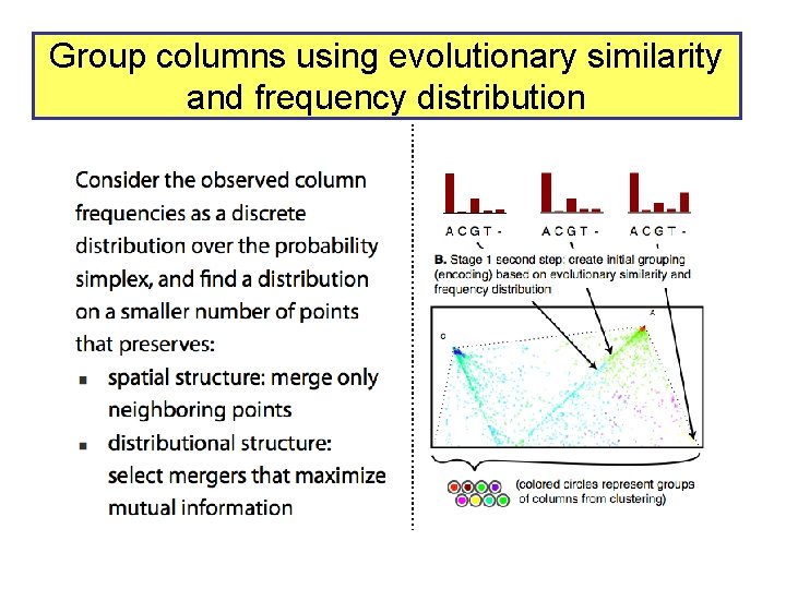 Group columns using evolutionary similarity and frequency distribution 
