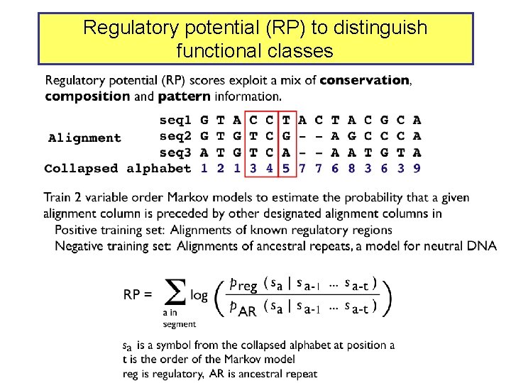 Regulatory potential (RP) to distinguish functional classes 
