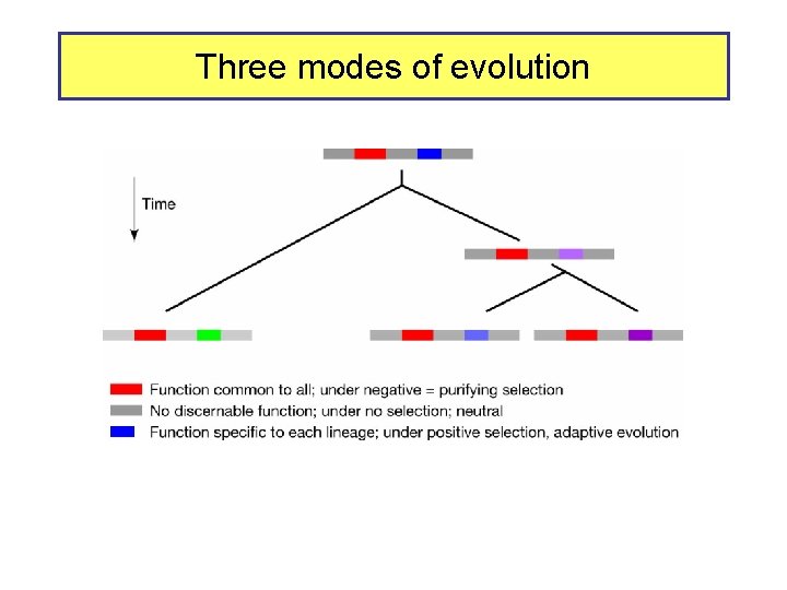 Three modes of evolution 