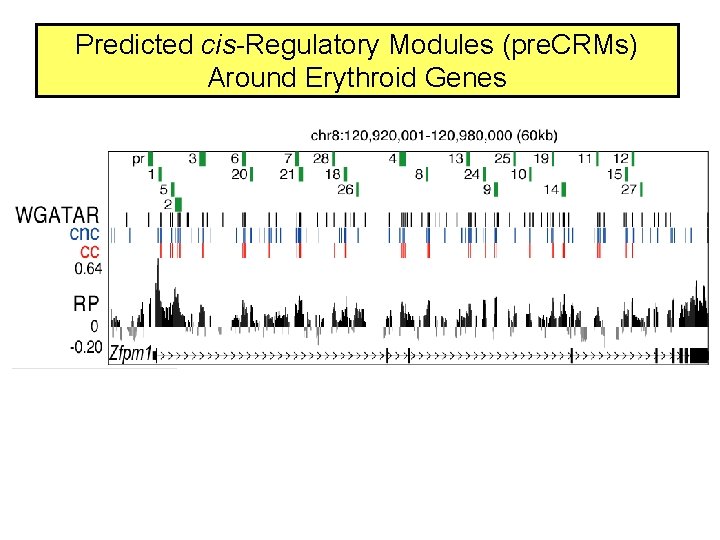 Predicted cis-Regulatory Modules (pre. CRMs) Around Erythroid Genes 