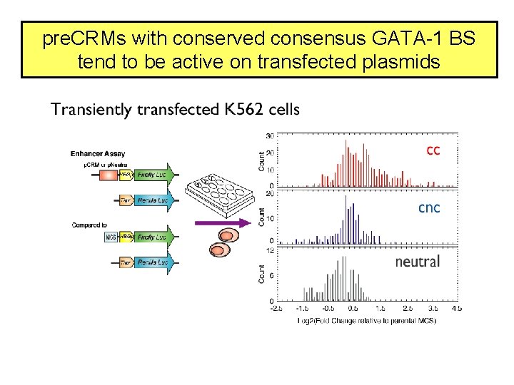 pre. CRMs with conserved consensus GATA-1 BS tend to be active on transfected plasmids