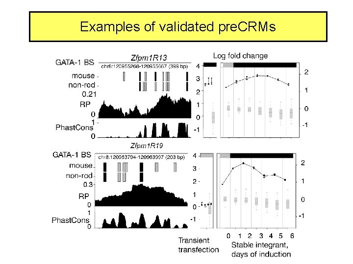 Examples of validated pre. CRMs 