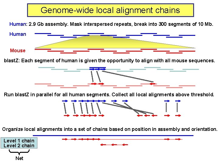 Genome-wide local alignment chains Human: 2. 9 Gb assembly. Mask interspersed repeats, break into