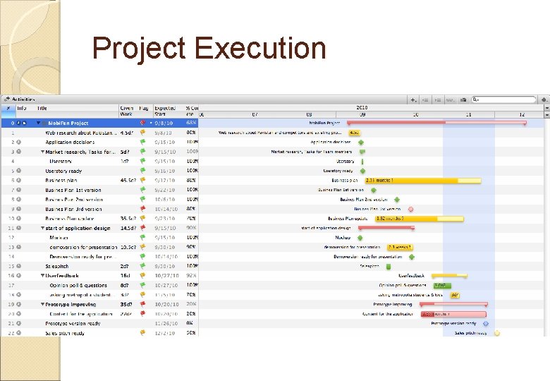 Project Execution 