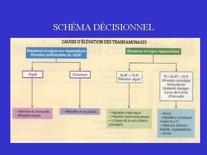 SCHÉMA DÉCISIONNEL 