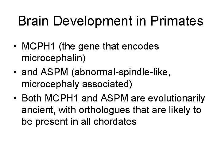 Brain Development in Primates • MCPH 1 (the gene that encodes microcephalin) • and