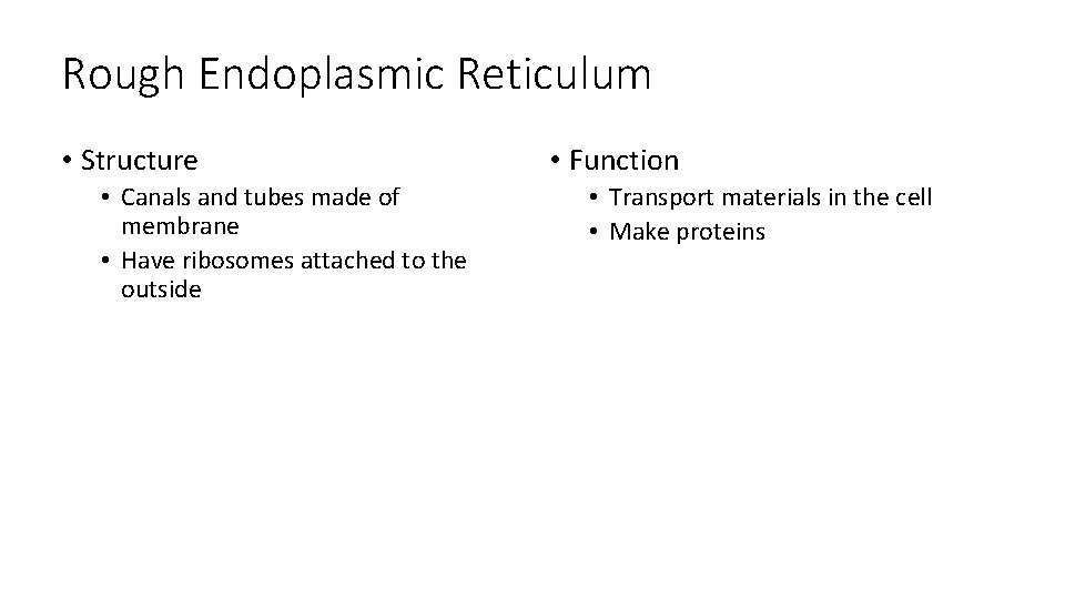 Rough Endoplasmic Reticulum • Structure • Canals and tubes made of membrane • Have