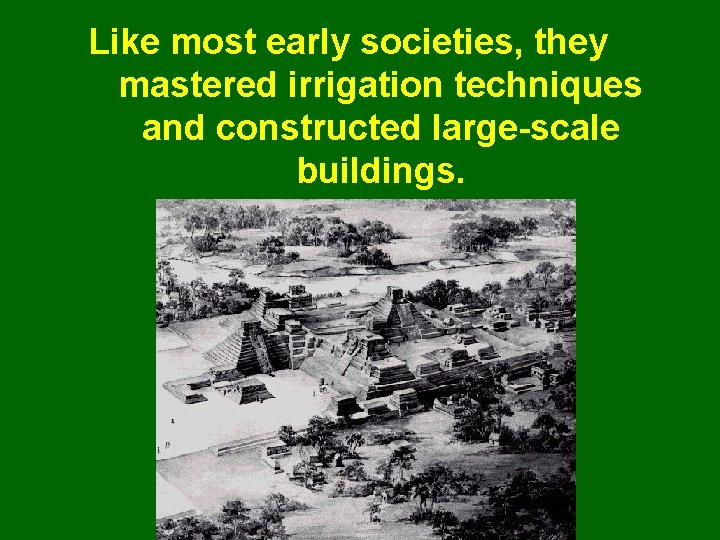 Like most early societies, they mastered irrigation techniques and constructed large-scale buildings. 