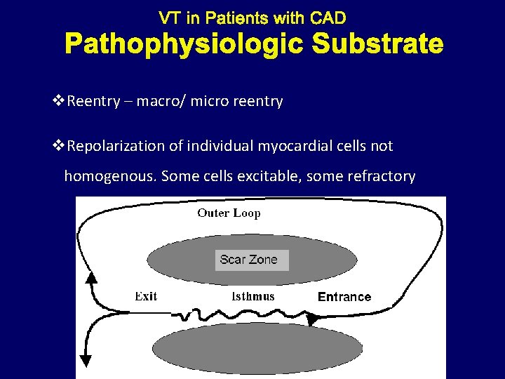 Pathophysiologic Substrate v. Reentry – macro/ micro reentry v. Repolarization of individual myocardial cells