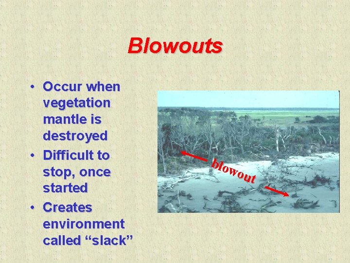 Blowouts • Occur when vegetation mantle is destroyed • Difficult to stop, once started