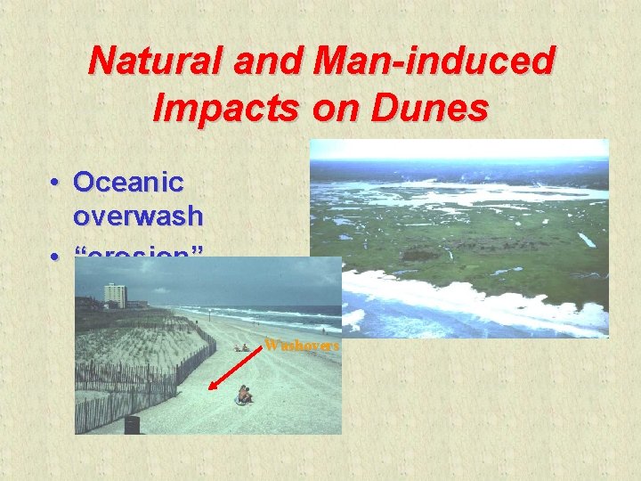 Natural and Man-induced Impacts on Dunes • Oceanic overwash • “erosion” Washovers 